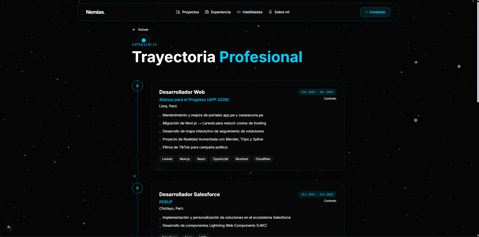 Portafolio Personal - Captura 2